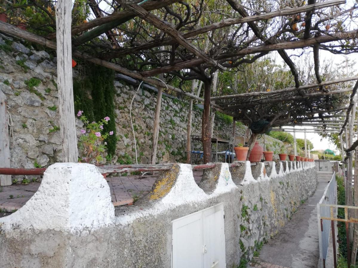 לינה וארוחת בוקר אמאלפי Casa Barbara מראה חיצוני תמונה